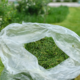 Rasenschnitt in Plastiksäcken