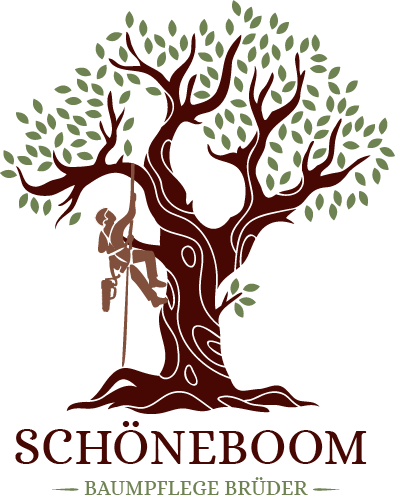 farbiges Logo Baumpflegebrüder Schöneboom Leipzig
