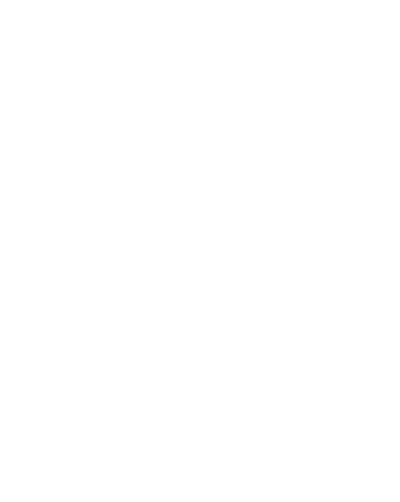 weißes Logo der Baumpflegebrüder
